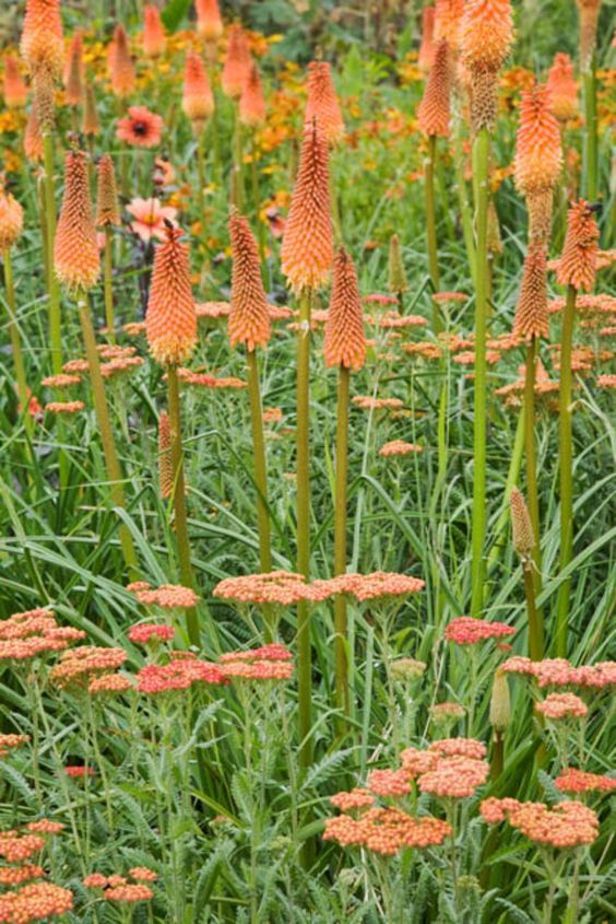 ab0572d36f8135f2df447192cb5ccc59