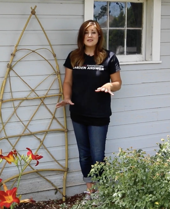 Screenshot 2026 01 06 at 20.30.05