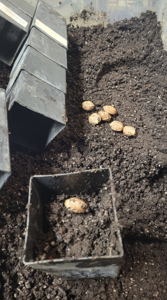 Screenshot 2026 01 28 at 20.30.38