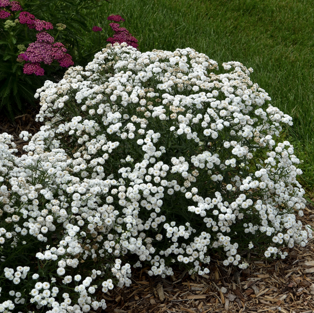 Screenshot 2026 04 05 at 21.16.50