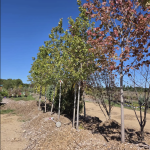 Screenshot 2026 09 30 at 10.32.22